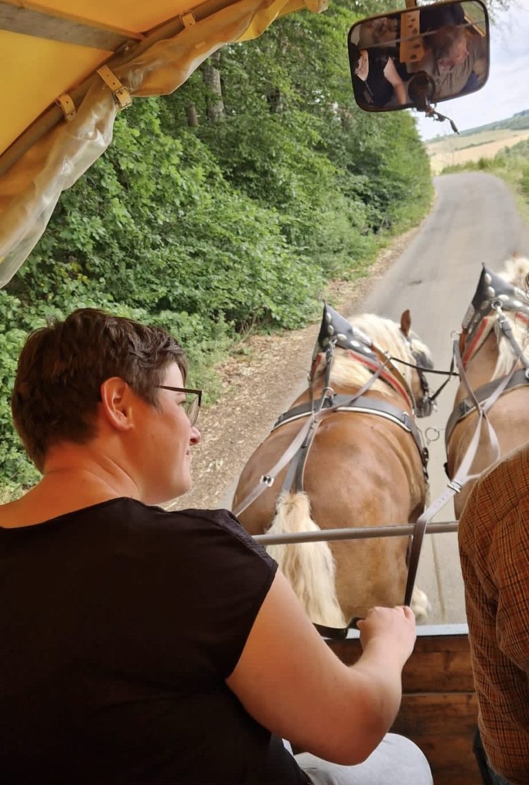 Meine erste Fahrt mit der Eifelkutsche und den Pferden durch die Eifel