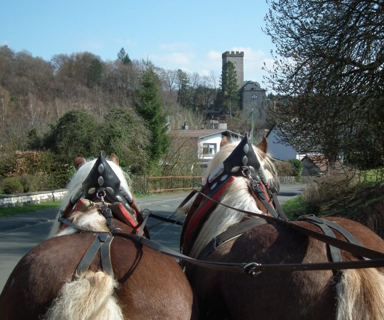 Blick aus der Kutsche über Pferde im Eifeldorf Kerpen bei Gerolstein während einer Kutschfahrt.
