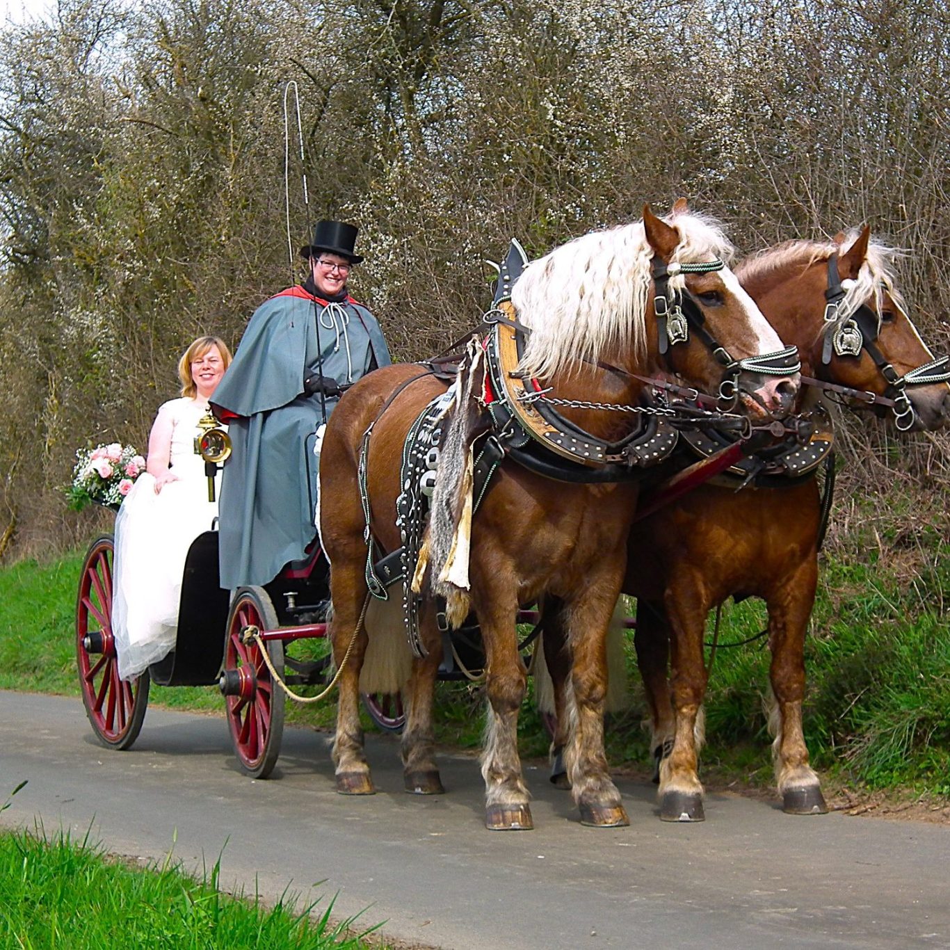 Hochzeitskutsche in der Eifel mit Pferden für romantische Hochzeitsfahrten