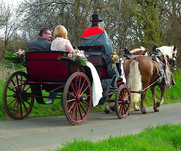 Brautpaar in einer Hochzeitskutsche mit Pferden bei einer romantischen Hochzeitsfahrt in der Eifel